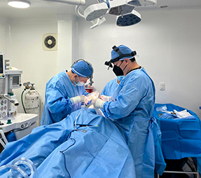 Clinica Novocorpo